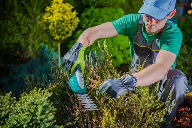 landscaping services Lakewood